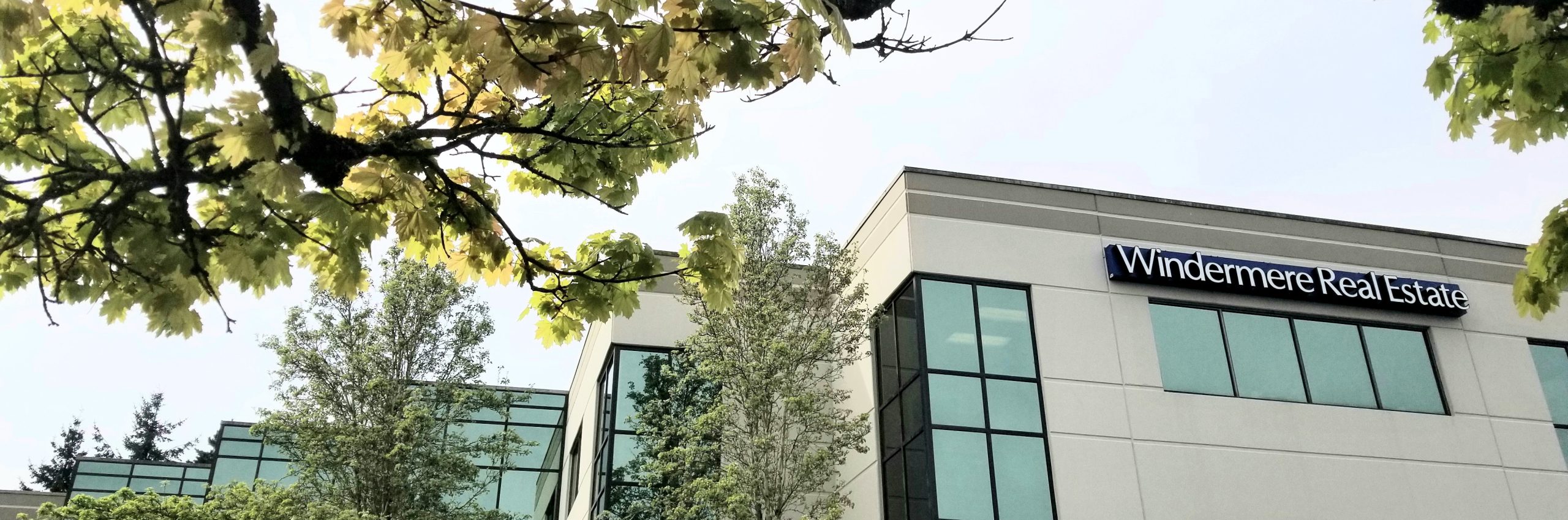 Office_banner